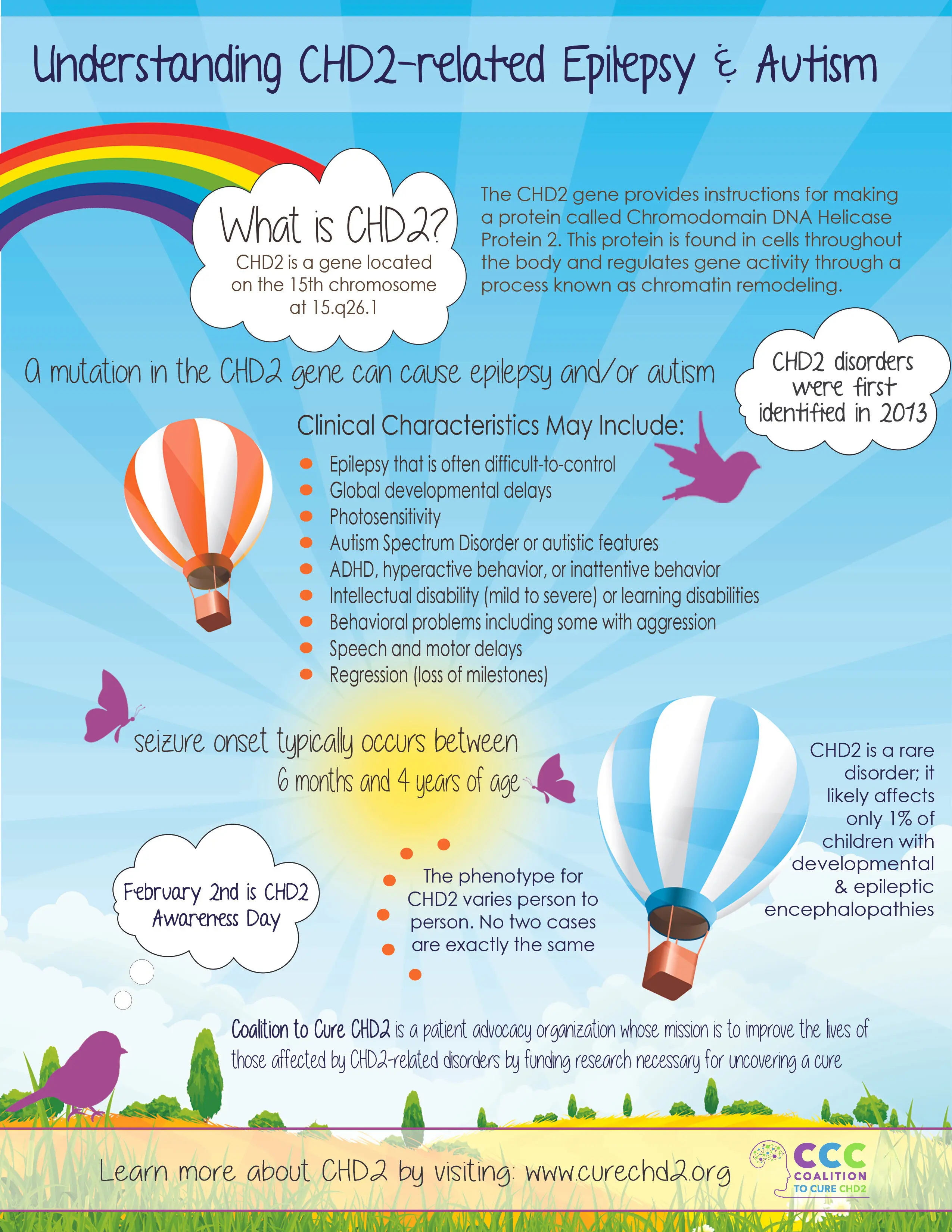infographic about chd2 English