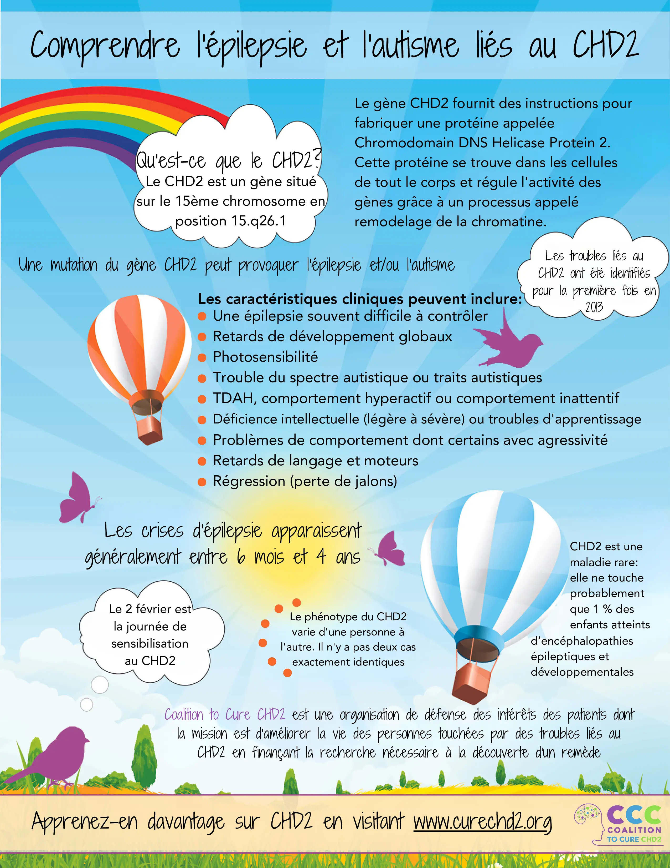 infographic about chd2 French