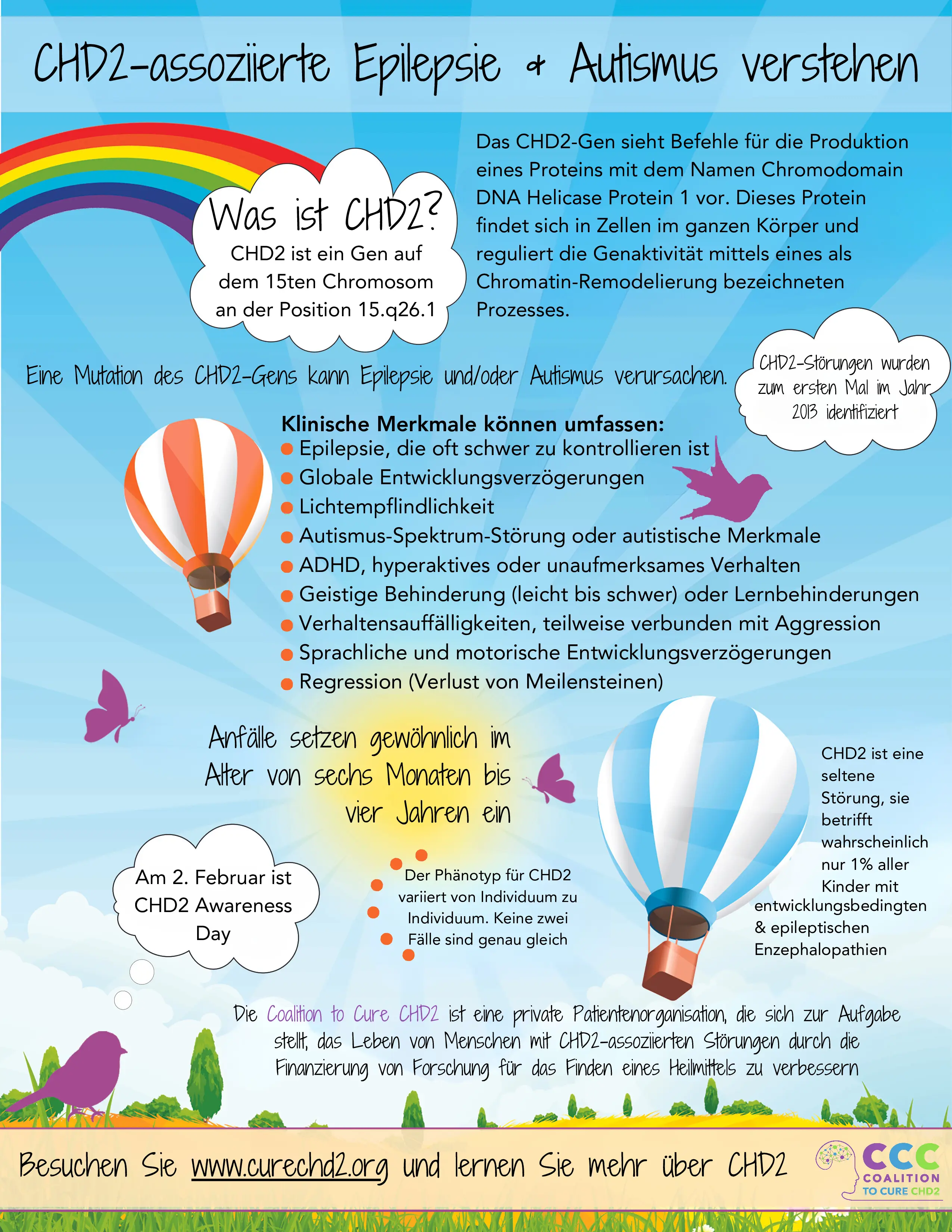 infographic about chd2 German