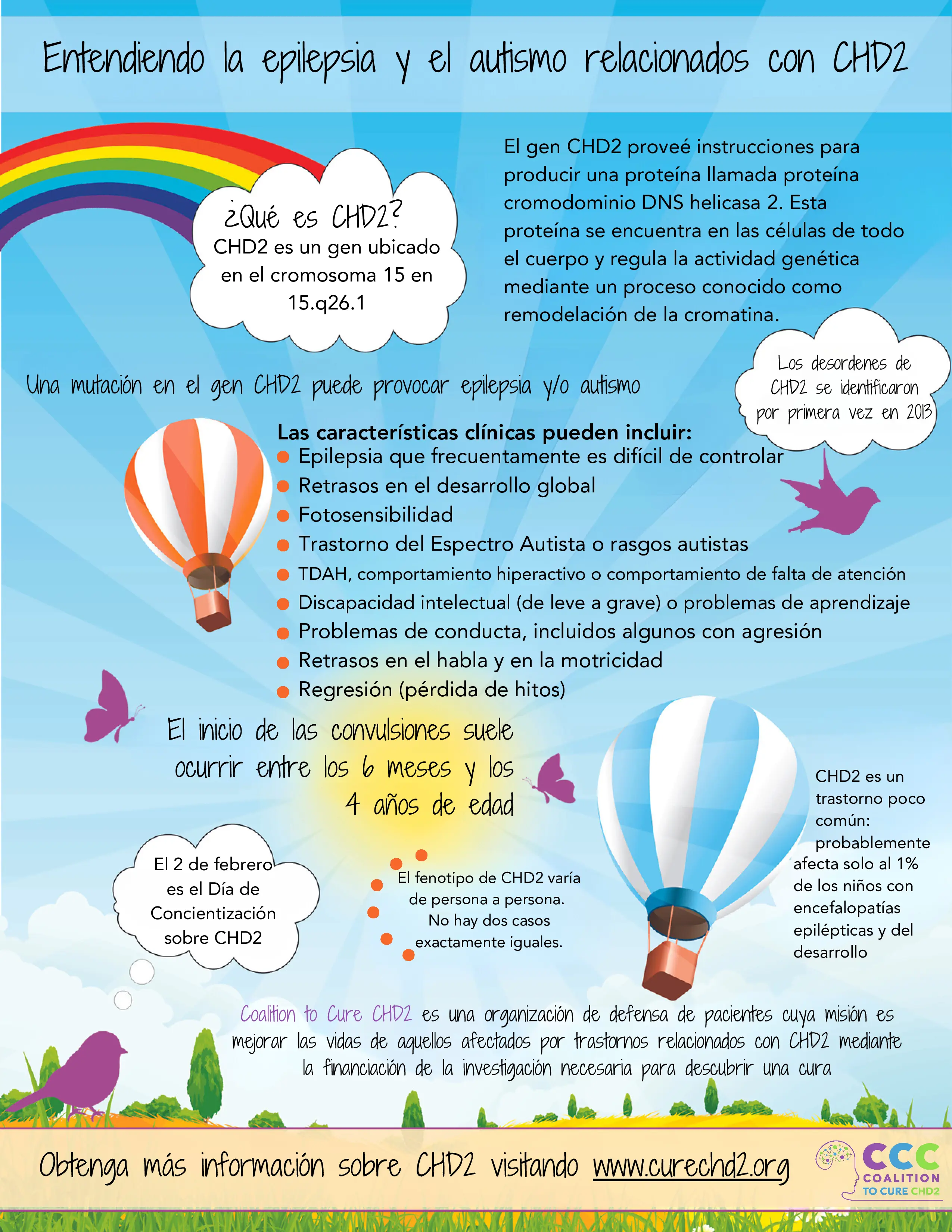 infographic about chd2 Spanish